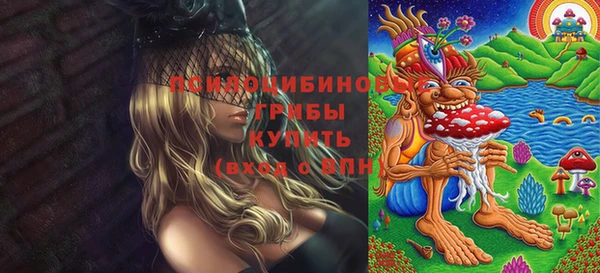 бошки Аркадак