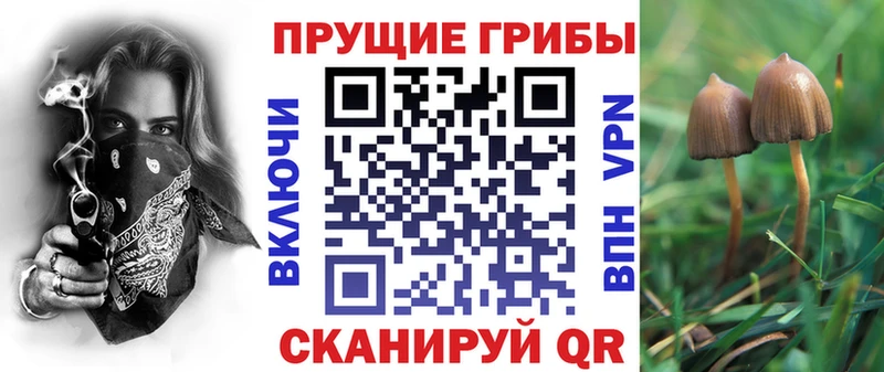 наркота  Сычёвка  Псилоцибиновые грибы ЛСД 
